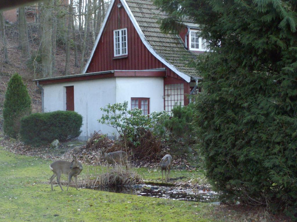 Skovvej Holiday House 1 Villa แรนเดอร์ส ภายนอก รูปภาพ